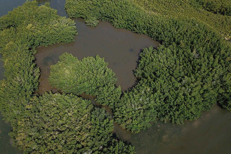 Drone Landscape Videography